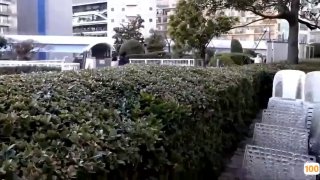 免费黄色视频无码一区